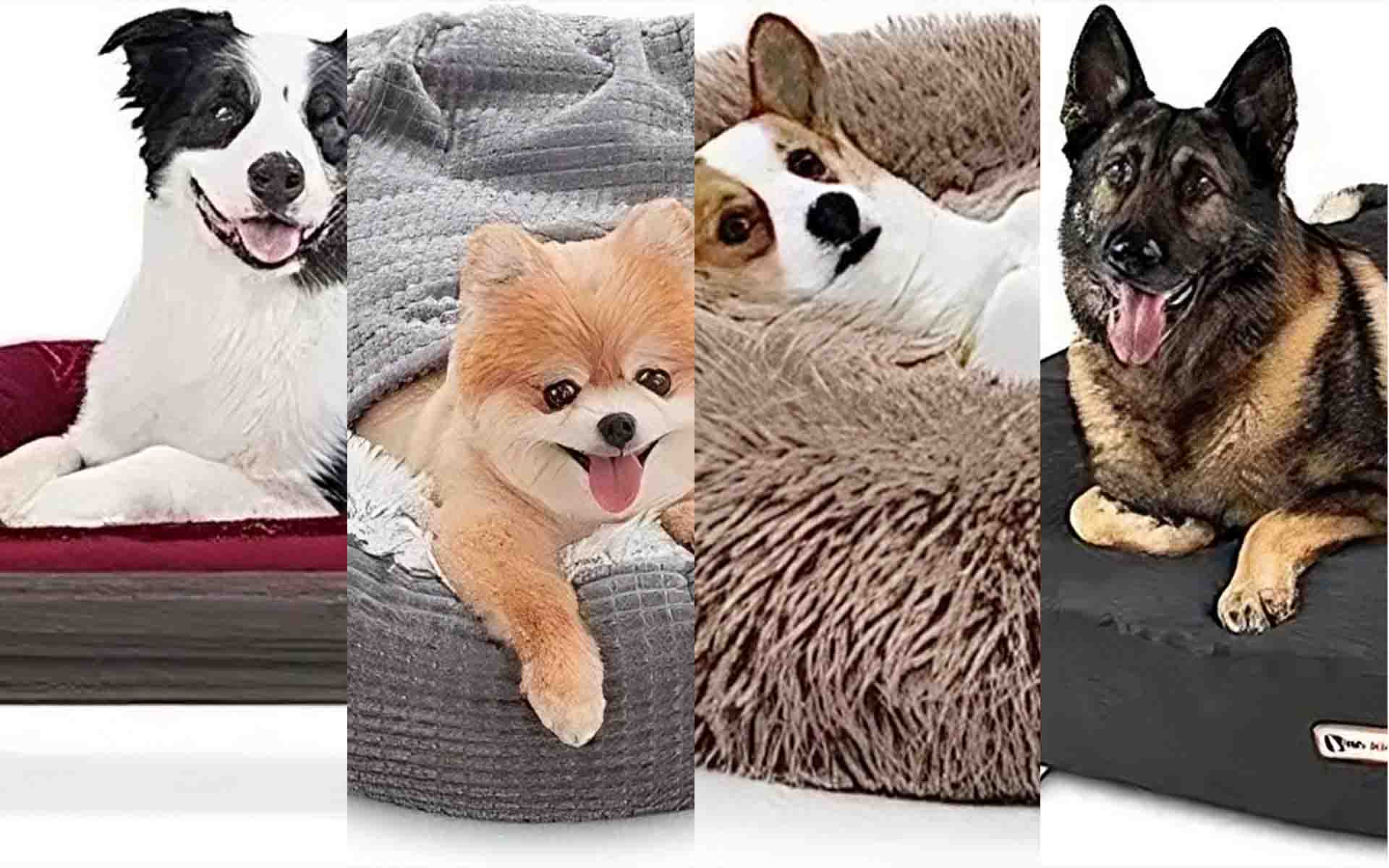 Best Orthopedic Dog Beds 2023