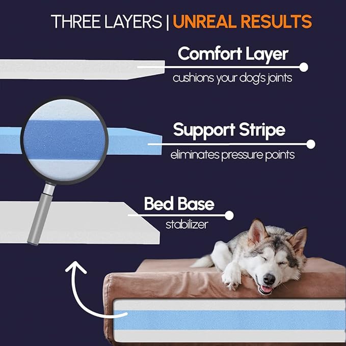Big Barker orthopedic dog bed with three-layer foam design: comfort layer cushions joints, support stripe relieves pressure points, and stable bed base