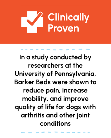Clinically proven Big Barker dog bed study by University of Pennsylvania showing reduced pain, improved mobility, and better quality of life for dogs with arthritis