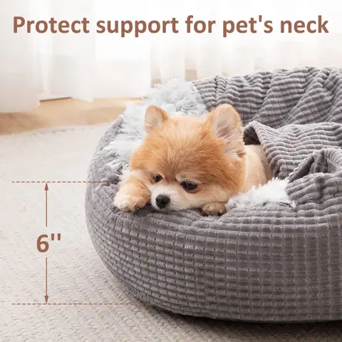 Toy dog burrowing under MIXJOY attached blanket for warmth and security