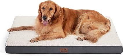 Golden Retriever resting on the Bedsure XL orthopedic dog bed